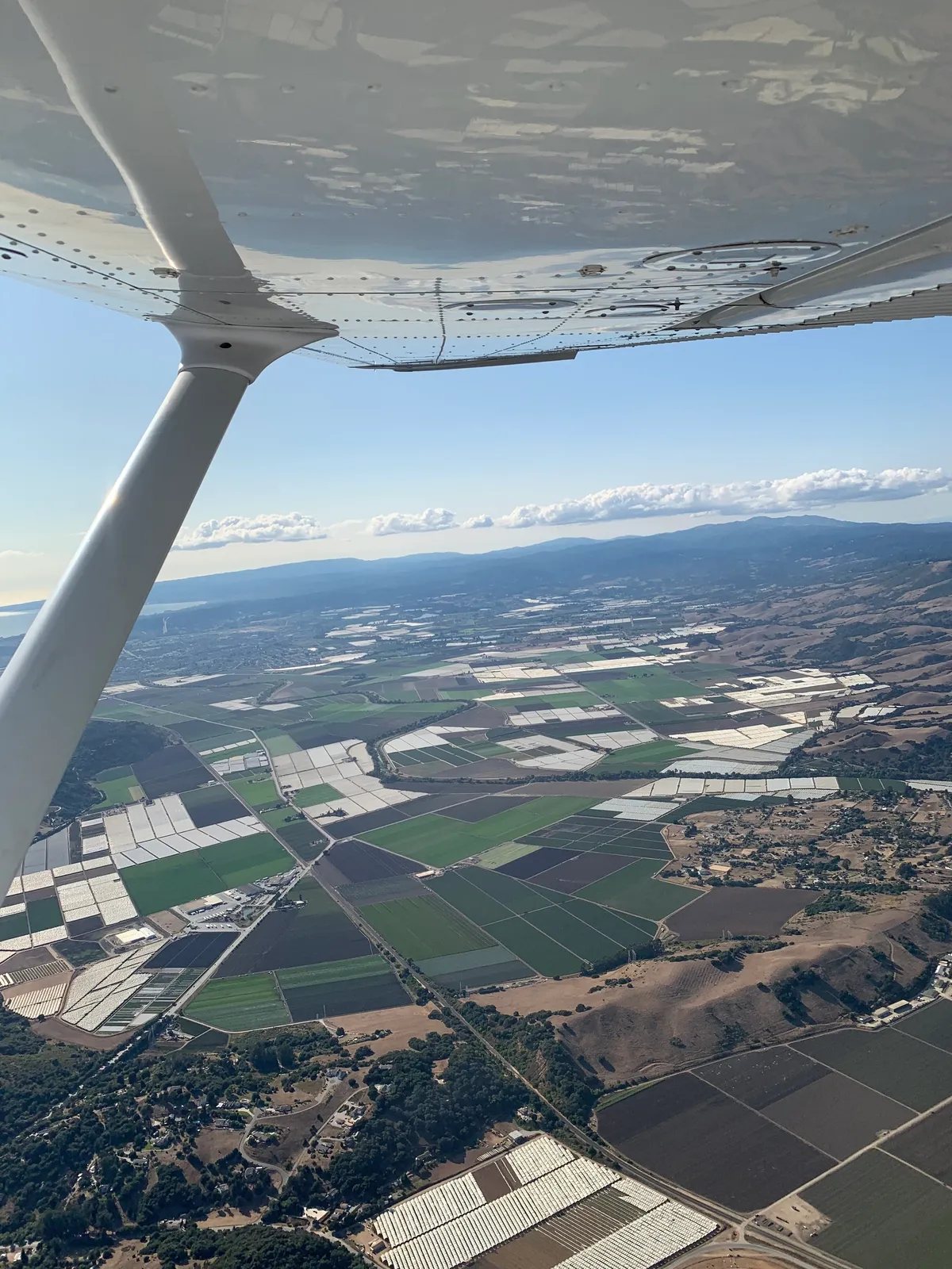 Aerial view of patterned farmland from a small aircraft, wing strut in the frame